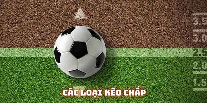 Handicap 1/4 rất phổ biến trong thị trường Việt Nam