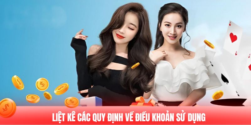 Liệt kê các quy định về điều khoản sử dụng